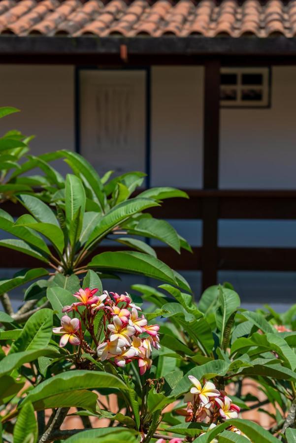 Villa Alexandre Pousada - Trancoso Ngoại thất bức ảnh